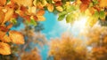 Colorful autumn background with leaves Royalty Free Stock Photo
