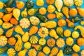 Colorful autumn background of ornamental gourds Royalty Free Stock Photo