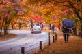 Colorful autumn with beautiful maple leaf in sunset at Naejangsan national park, South Korea Royalty Free Stock Photo