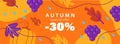 Colorful autumn card, background, shop sale promo banner. Place for text. Bright landscape, pumpkins, grapes, leaves.