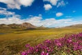 Colorful autumn Chukotka tundra, Chukotka. Russia Royalty Free Stock Photo