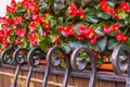 Colorful autumn in the city. Flowering autumn begonias on a windowsill Royalty Free Stock Photo