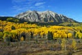 Colorful Autumn Colors on Kebler Pass Near Crested Butte, Colorado Royalty Free Stock Photo