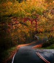 Colorful Autumn country road landscape Royalty Free Stock Photo