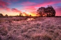 Colorful autumn dawn. Little river in the meadow