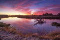 Colorful autumn dawn. Old snag in the river Royalty Free Stock Photo