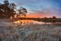 Colorful autumn dawn. Wood near the river Royalty Free Stock Photo