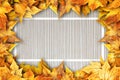 Colorful autumn dry leaves border frame on white painted rustic barn wood blanks background. Empty space for copy, text, lettering Royalty Free Stock Photo