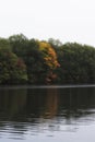 Colorful autumn/fall foliage in a forest on a lake in new england. Colors of red orange and green Royalty Free Stock Photo