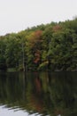 Colorful autumn/fall foliage in a forest on a lake in new england. Colors of red orange and green Royalty Free Stock Photo