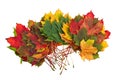 Colorful autumn fall leaves maple Royalty Free Stock Photo