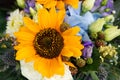 Colorful autumn flower bouquet with sun flowers Royalty Free Stock Photo