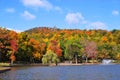 Colorful autumn foliage