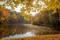 Colorful autumn foliage in Markuciai park in Vilnius, Lithuania Royalty Free Stock Photo