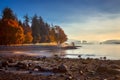 Colorful Autumn Foliage at Stanley Park Royalty Free Stock Photo