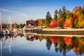 Colorful Autumn Foliage at Stanley Park Royalty Free Stock Photo