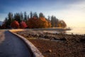 Colorful Autumn Foliage at Stanley Park Royalty Free Stock Photo