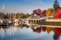 Colorful Autumn Foliage at Stanley Park Royalty Free Stock Photo