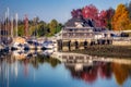 Colorful Autumn Foliage at Stanley Park Royalty Free Stock Photo