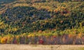 A colorful forest in fall colors on a steep hillside above a grassy meadow in Acadia National Park, Maine Royalty Free Stock Photo