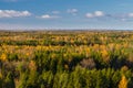 Colorful autumn forest against blue sky Royalty Free Stock Photo