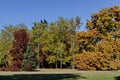 Colorful autumn forest with beautiful branched trees with many yellow, green, red and brown leaves and meadow, Vrana park