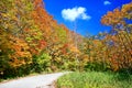 Colorful autumn landscape in Nyuto onsen hot spring resorts Royalty Free Stock Photo