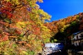 Colorful autumn forest in hot spring resorts of Nyuto Onsenkyo Royalty Free Stock Photo