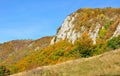 Colorful autumn forest mountain landscape