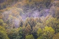 Colorful autumn forest photographed on misty morning from above. Moody landscape. Wood in fall. Hipster vintage retro style. Haze Royalty Free Stock Photo