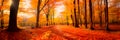 colorful autumn forest with picturesque yellow, red and orange leaves. Generative AI