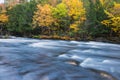 Colorful autumn forest on a riverside of Oxtongue river Royalty Free Stock Photo