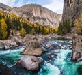 Colorful autumn forest in xinjiang