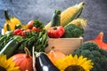 Colorful autumn harves crop vegetables