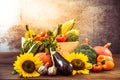 Colorful autumn harves crop vegetables Royalty Free Stock Photo