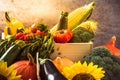 Colorful autumn harves crop vegetables Royalty Free Stock Photo