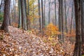 Colorful Autumn Hiking Trail