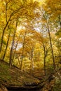 Colorful Autumn hillside with small stream Royalty Free Stock Photo