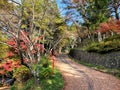 Colorful Autumn Japan