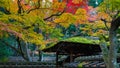 Colorful Autumn at Koto-in Temple in Kyoto