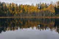 Colorful autumn lakeside treeline with reflection Royalty Free Stock Photo