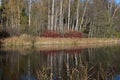 colorful autumn landscape with calm water surface, colorful reflections Royalty Free Stock Photo