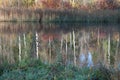 colorful autumn landscape with calm water surface, colorful reflections Royalty Free Stock Photo