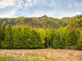 Colorful autumn landscape in the Carpathian Mountains, Romania. Autumn forest scenery