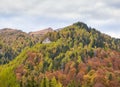 Colorful autumn landscape in the Carpathian Mountains, Romania. Autumn forest scenery