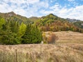 Colorful autumn landscape in the Carpathian Mountains, Romania. Autumn forest scenery