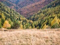 Colorful autumn landscape in the Carpathian Mountains, Romania. Autumn forest scenery