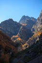 Colorful autumn landscape in the Caucasus mountains, colorful forest in Kazbegi, Georgia Royalty Free Stock Photo