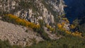 Colorful autumn landscape in the Caucasus mountains, colorful forest in Kazbegi, Georgia Royalty Free Stock Photo