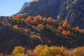 Colorful autumn landscape in the Caucasus mountains, colorful forest in Kazbegi, Georgia Royalty Free Stock Photo